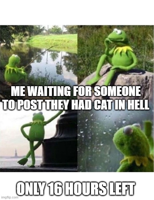 blank kermit waiting | ME WAITING FOR SOMEONE TO POST THEY HAD CAT IN HELL; ONLY 16 HOURS LEFT | image tagged in blank kermit waiting | made w/ Imgflip meme maker