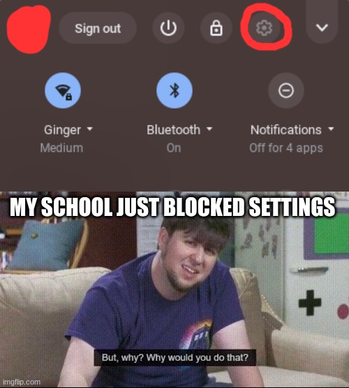 MY SCHOOL JUST BLOCKED SETTINGS | image tagged in but why why would you do that | made w/ Imgflip meme maker