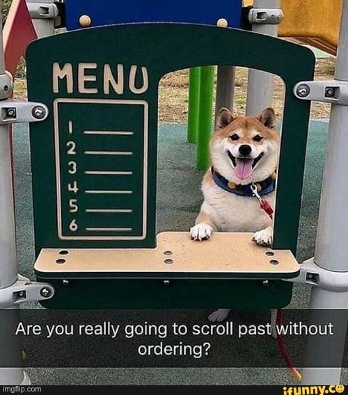 oRdEr, iVe bEeN hErE aLl DaY | image tagged in doge | made w/ Imgflip meme maker