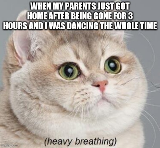 Heavy Breathing Cat Meme | WHEN MY PARENTS JUST GOT HOME AFTER BEING GONE FOR 3 HOURS AND I WAS DANCING THE WHOLE TIME | image tagged in memes,heavy breathing cat | made w/ Imgflip meme maker