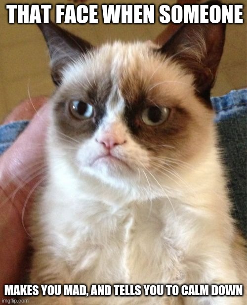 Grumpy Cat | THAT FACE WHEN SOMEONE; MAKES YOU MAD, AND TELLS YOU TO CALM DOWN | image tagged in memes,grumpy cat | made w/ Imgflip meme maker
