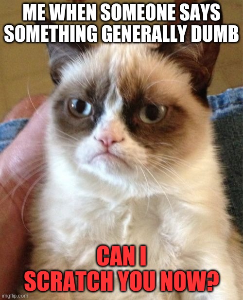 Grumpy Cat Meme | ME WHEN SOMEONE SAYS SOMETHING GENERALLY DUMB; CAN I SCRATCH YOU NOW? | image tagged in memes,grumpy cat | made w/ Imgflip meme maker