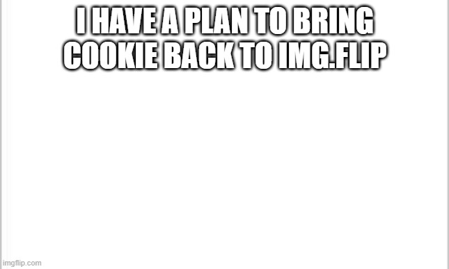 someone approve this image and i will explain in the comments | I HAVE A PLAN TO BRING COOKIE BACK TO IMG.FLIP | image tagged in white background | made w/ Imgflip meme maker