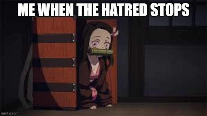 Demon Slayer Nezuko | ME WHEN THE HATRED STOPS | image tagged in demon slayer nezuko | made w/ Imgflip meme maker