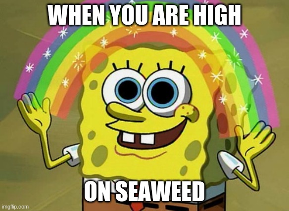 drugs | WHEN YOU ARE HIGH; ON SEAWEED | image tagged in memes,imagination spongebob | made w/ Imgflip meme maker