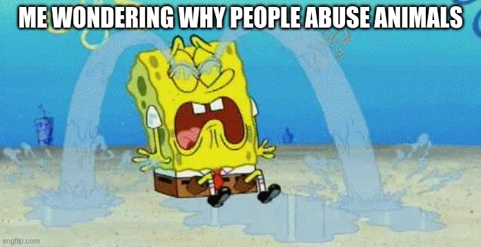 sad crying spongebob | ME WONDERING WHY PEOPLE ABUSE ANIMALS | image tagged in sad crying spongebob | made w/ Imgflip meme maker