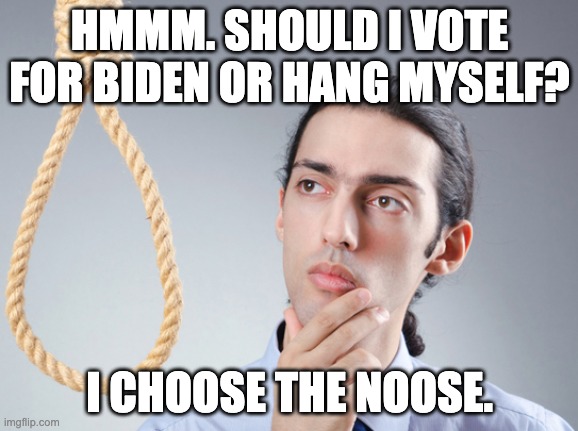 noose | HMMM. SHOULD I VOTE FOR BIDEN OR HANG MYSELF? I CHOOSE THE NOOSE. | image tagged in noose | made w/ Imgflip meme maker