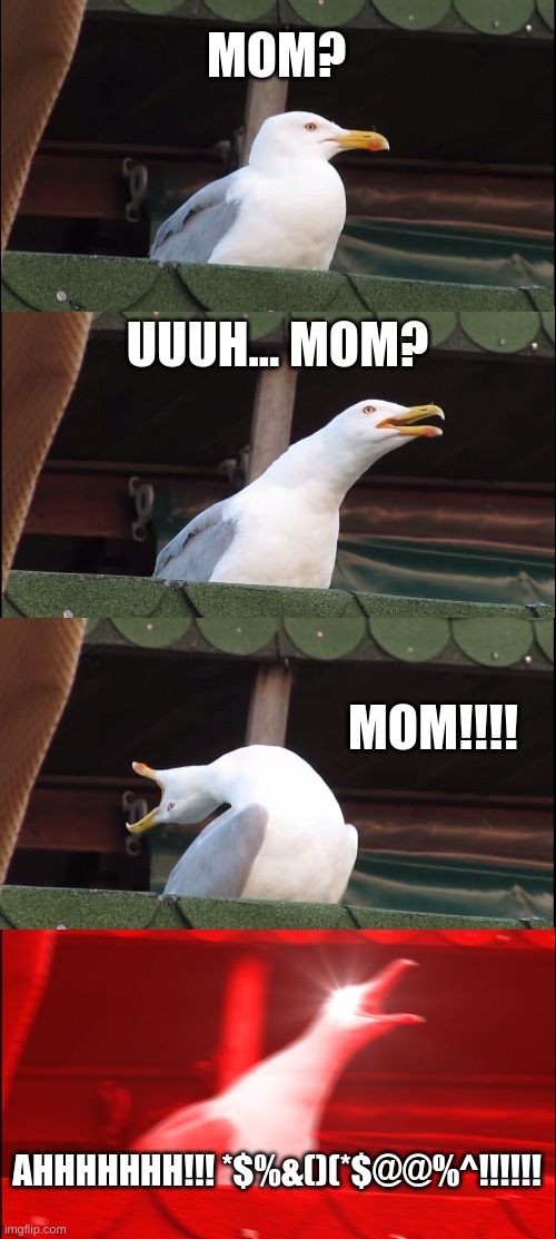 Inhaling Seagull | MOM? UUUH... MOM? MOM!!!! AHHHHHHH!!! *$%&()(*$@@%^!!!!!! | image tagged in memes,inhaling seagull | made w/ Imgflip meme maker