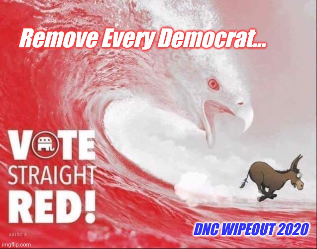Remove Every Democrat. Vote American. #VoteRedTsunami | Remove Every Democrat... DNC WIPEOUT 2020 | image tagged in vote red tsunami,election 2020,american eagle,patriotism,the great awakening,trump 2020 | made w/ Imgflip meme maker
