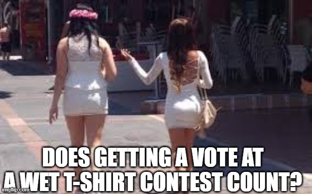 Vote...Whatever? | DOES GETTING A VOTE AT A WET T-SHIRT CONTEST COUNT? | image tagged in walk of shame,babes,girls | made w/ Imgflip meme maker