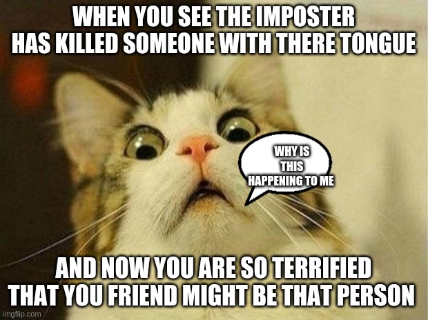 Scared Cat | WHEN YOU SEE THE IMPOSTER HAS KILLED SOMEONE WITH THERE TONGUE; WHY IS THIS HAPPENING TO ME; AND NOW YOU ARE SO TERRIFIED THAT YOU FRIEND MIGHT BE THAT PERSON | image tagged in memes,scared cat | made w/ Imgflip meme maker