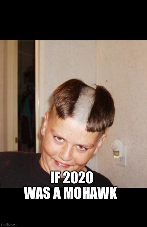 Moshit | IF 2020 WAS A MOHAWK | image tagged in the 2020 | made w/ Imgflip meme maker