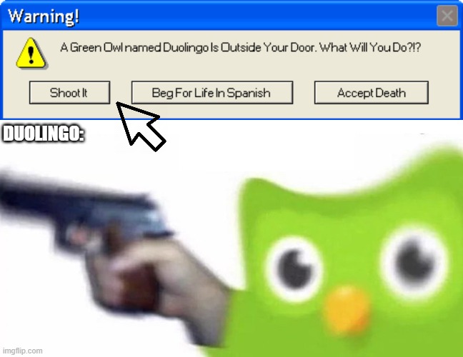 This Might Be my last meme... | DUOLINGO: | image tagged in enemy spotted,error 404,duolingo gun | made w/ Imgflip meme maker