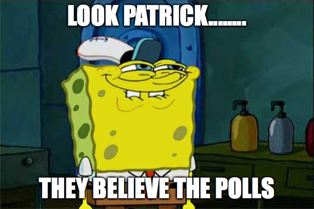 Don't You Squidward Meme | LOOK PATRICK........ THEY BELIEVE THE POLLS | image tagged in memes,don't you squidward | made w/ Imgflip meme maker