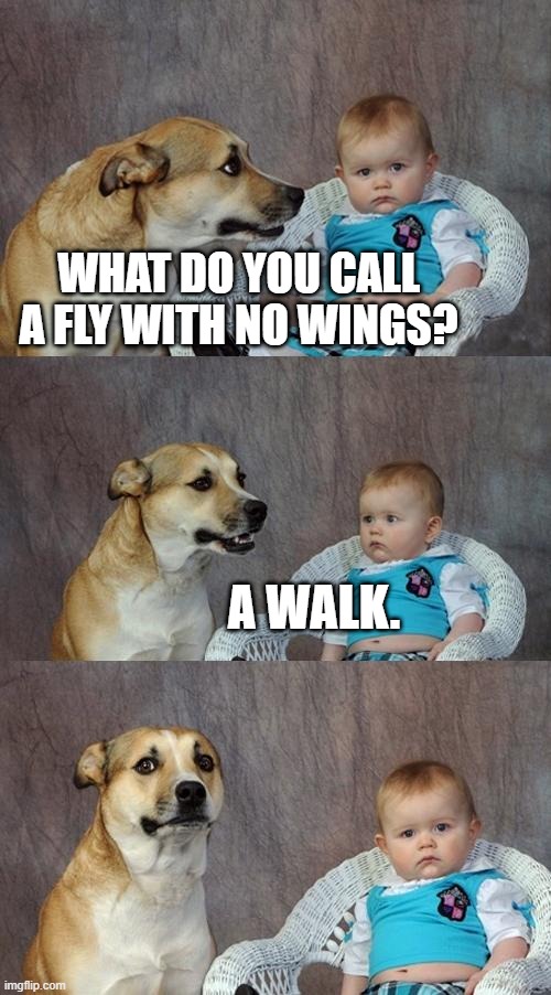 Dad Joke Dog | WHAT DO YOU CALL A FLY WITH NO WINGS? A WALK. | image tagged in memes,dad joke dog,funny,repost,bad joke dog,jokes | made w/ Imgflip meme maker