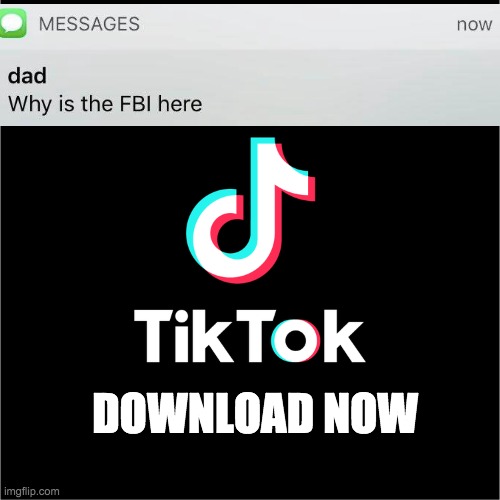 I HATE TIK TOK ADS!!!! | DOWNLOAD NOW | image tagged in why is the fbi here | made w/ Imgflip meme maker