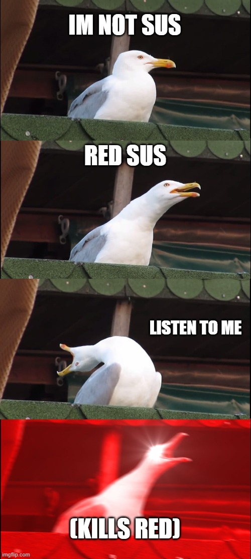 red sus | IM NOT SUS; RED SUS; LISTEN TO ME; (KILLS RED) | image tagged in memes,inhaling seagull | made w/ Imgflip meme maker