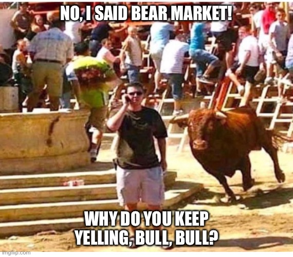 Bull | NO, I SAID BEAR MARKET! WHY DO YOU KEEP YELLING, BULL, BULL? | image tagged in funny | made w/ Imgflip meme maker