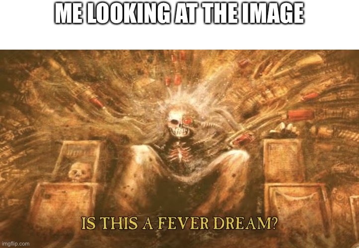 Is this a fever dream? | ME LOOKING AT THE IMAGE | image tagged in is this a fever dream | made w/ Imgflip meme maker