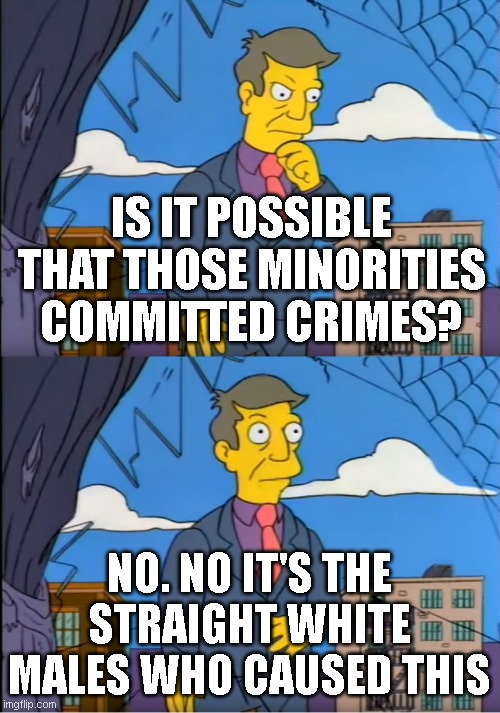 Skinner Out Of Touch | IS IT POSSIBLE THAT THOSE MINORITIES COMMITTED CRIMES? NO. NO IT'S THE STRAIGHT WHITE MALES WHO CAUSED THIS | image tagged in skinner out of touch | made w/ Imgflip meme maker