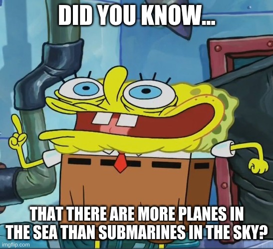 did you know.... | DID YOU KNOW... THAT THERE ARE MORE PLANES IN THE SEA THAN SUBMARINES IN THE SKY? | image tagged in did you know | made w/ Imgflip meme maker