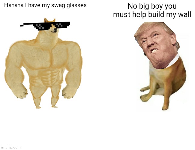 Remember the good ol days when we made fun of Trump in memes | Hahaha I have my swag glasses; No big boy you must help build my wall | image tagged in memes,buff doge vs cheems | made w/ Imgflip meme maker