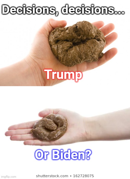 Shit choices | Decisions, decisions... Trump; Or Biden? | image tagged in election 2020 | made w/ Imgflip meme maker