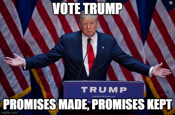 Donald Trump | VOTE TRUMP; PROMISES MADE, PROMISES KEPT | image tagged in donald trump | made w/ Imgflip meme maker