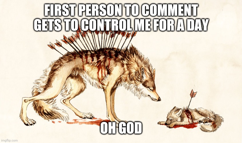 Arrow Wolf | FIRST PERSON TO COMMENT GETS TO CONTROL ME FOR A DAY; OH GOD | image tagged in arrow wolf | made w/ Imgflip meme maker