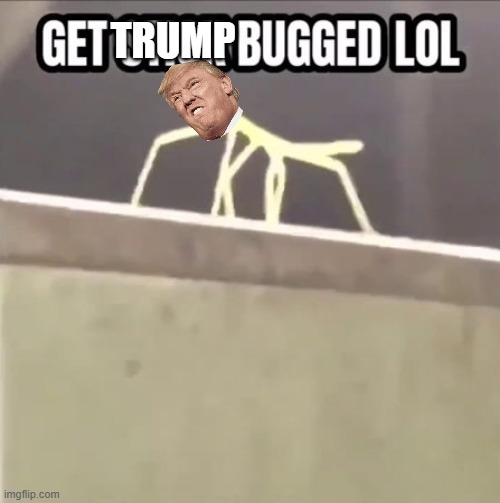 Get stick bugged lol | TRUMP | image tagged in get stick bugged lol | made w/ Imgflip meme maker