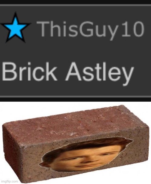 no context needed ‘cuz there is no context | image tagged in brick | made w/ Imgflip meme maker