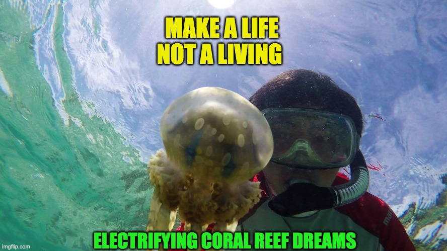 MAKE A LIFE NOT A LIVING | MAKE A LIFE NOT A LIVING; ELECTRIFYING CORAL REEF DREAMS | image tagged in make a life not a living | made w/ Imgflip meme maker