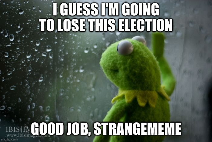should I run again? | I GUESS I'M GOING TO LOSE THIS ELECTION; GOOD JOB, STRANGEMEME | image tagged in kermit window | made w/ Imgflip meme maker