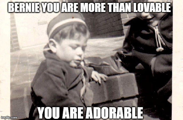 BERNIE YOU ARE MORE THAN LOVABLE YOU ARE ADORABLE | made w/ Imgflip meme maker