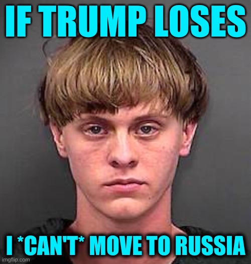 dylan roof monkey puppet | IF TRUMP LOSES; I *CAN'T* MOVE TO RUSSIA | image tagged in dylan roof monkey puppet,incel,prisoner,kkk,white nationalism,white power | made w/ Imgflip meme maker