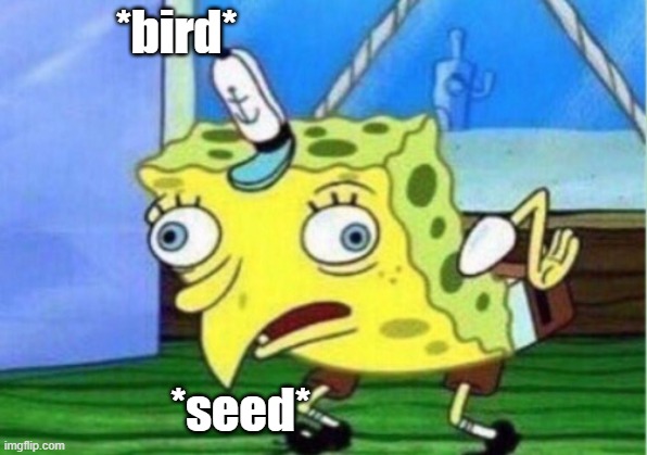 Mocking Spongebob | *bird*; *seed* | image tagged in memes,mocking spongebob | made w/ Imgflip meme maker