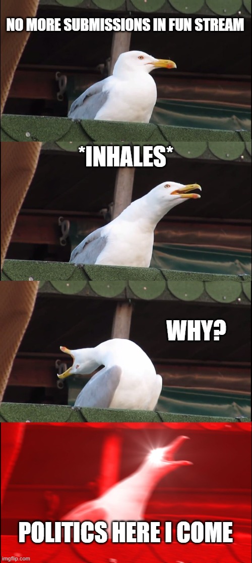 Inhaling Meme-gull | NO MORE SUBMISSIONS IN FUN STREAM; *INHALES*; WHY? POLITICS HERE I COME | image tagged in memes,inhaling seagull | made w/ Imgflip meme maker