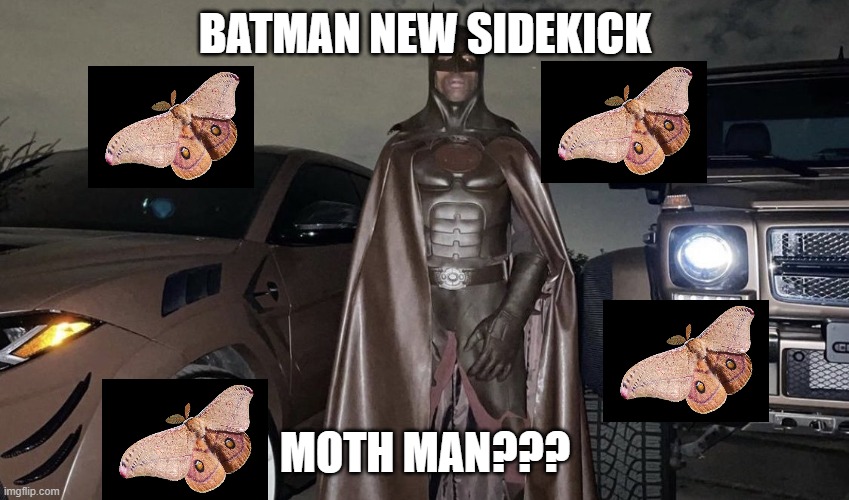 MOTHMAN? | BATMAN NEW SIDEKICK; MOTH MAN??? | image tagged in travis scott | made w/ Imgflip meme maker