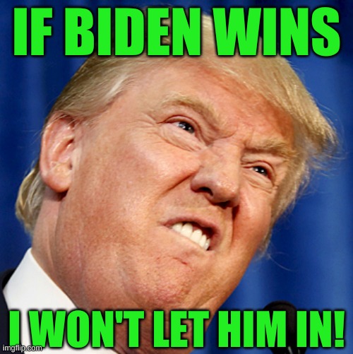 donald trump fffff cropped | IF BIDEN WINS; I WON'T LET HIM IN! | image tagged in donald trump fffff cropped,joe biden,creepy joe biden,hillary clinton for jail,election 2020 | made w/ Imgflip meme maker