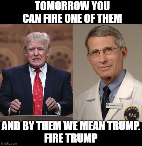 TOMORROW YOU CAN FIRE ONE OF THEM; AND BY THEM WE MEAN TRUMP.
FIRE TRUMP | image tagged in donald trump,dr fauci | made w/ Imgflip meme maker