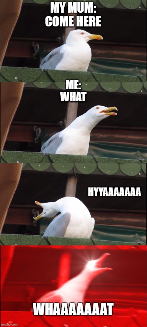Inhaling Seagull Meme | MY MUM:
COME HERE; ME:
WHAT; HYYAAAAAAA; WHAAAAAAAT | image tagged in memes,inhaling seagull | made w/ Imgflip meme maker