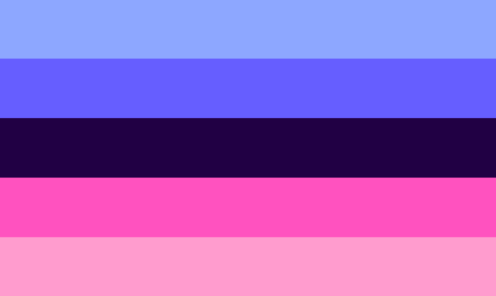 Omnisexual flag Blank Meme Template