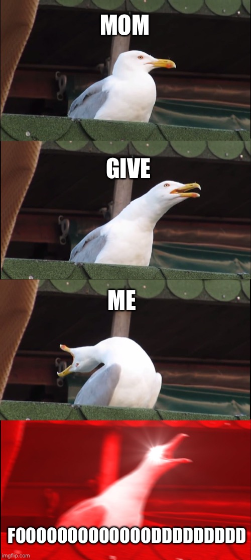 Inhaling Seagull | MOM; GIVE; ME; FOOOOOOOOOOOOODDDDDDDDD | image tagged in memes,inhaling seagull | made w/ Imgflip meme maker