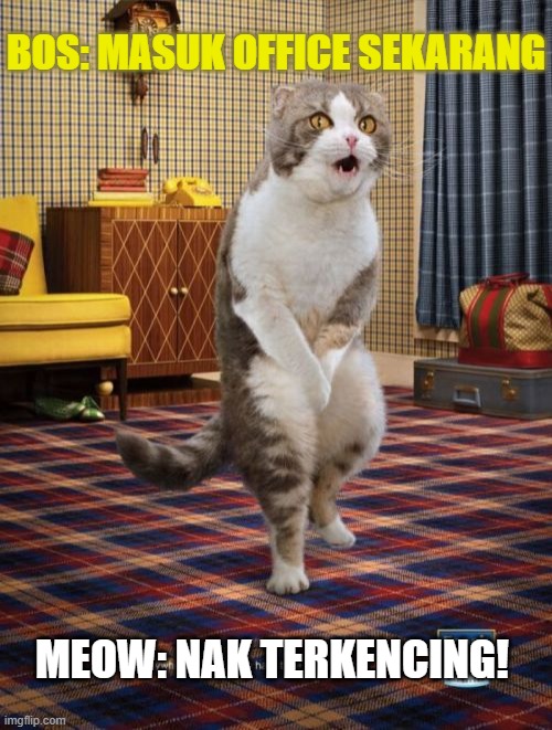 Gotta Go Cat Meme | BOS: MASUK OFFICE SEKARANG; MEOW: NAK TERKENCING! | image tagged in memes,gotta go cat | made w/ Imgflip meme maker