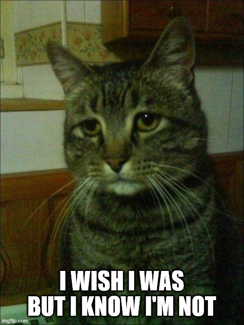Depressed Cat Meme | I WISH I WAS BUT I KNOW I'M NOT | image tagged in memes,depressed cat | made w/ Imgflip meme maker