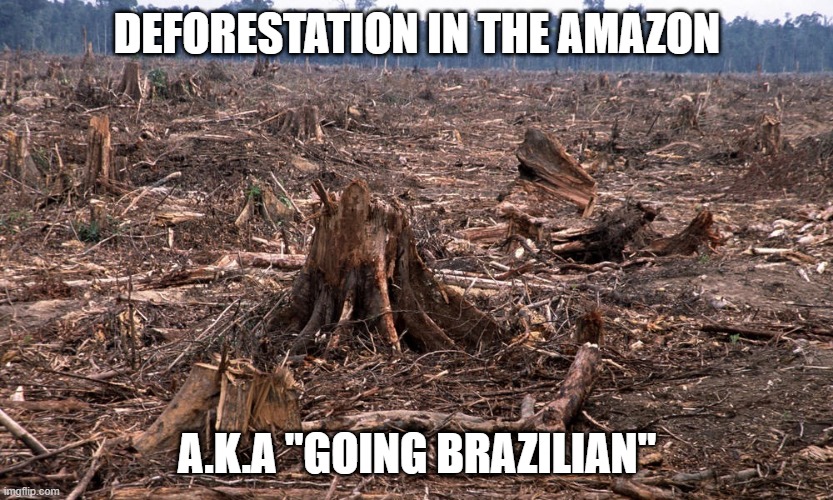 Clear a Strip | DEFORESTATION IN THE AMAZON; A.K.A "GOING BRAZILIAN" | image tagged in deforestation | made w/ Imgflip meme maker