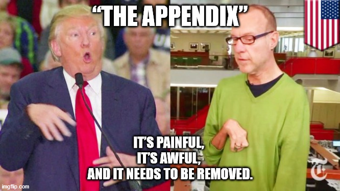 Trump mock | “THE APPENDIX”; IT’S PAINFUL, 
IT’S AWFUL, 
AND IT NEEDS TO BE REMOVED. | image tagged in trump mock | made w/ Imgflip meme maker