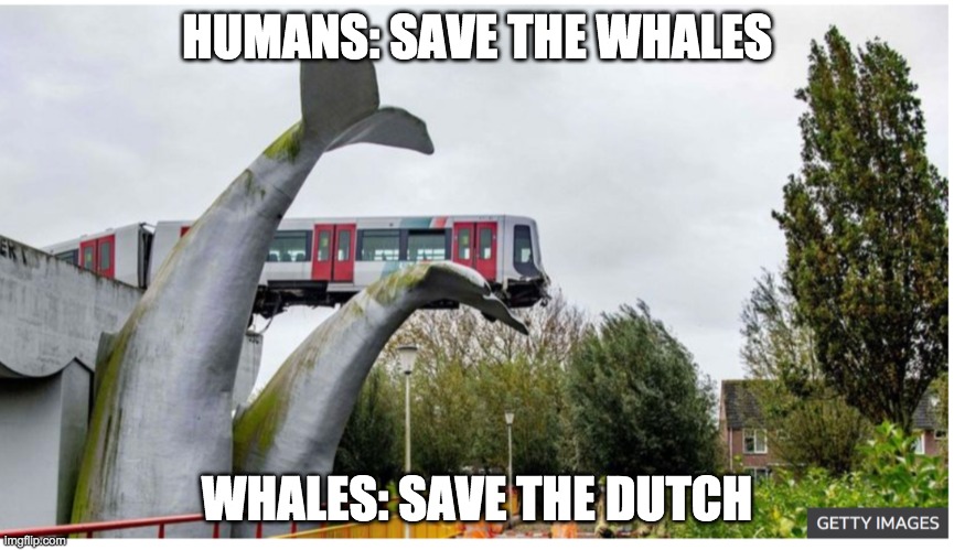 Save the Dutch | HUMANS: SAVE THE WHALES; WHALES: SAVE THE DUTCH | image tagged in memes,dutch,whales,save the whales,close call,near miss | made w/ Imgflip meme maker