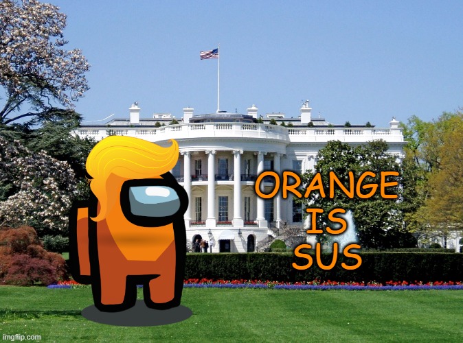 Dead body reported in Democracy | ORANGE
IS
SUS | image tagged in memes,among us,white house,trump,sus,orange | made w/ Imgflip meme maker