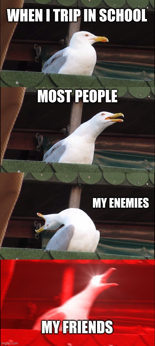 My life | WHEN I TRIP IN SCHOOL; MOST PEOPLE; MY ENEMIES; MY FRIENDS | image tagged in memes,inhaling seagull | made w/ Imgflip meme maker